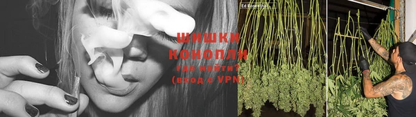 не бодяженный Дмитриев