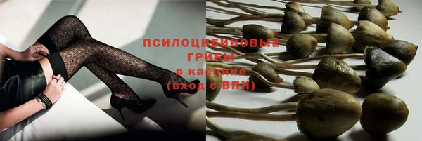 гашиш Дмитров