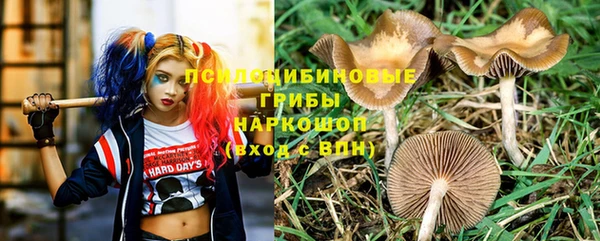 прущий лед Дмитровск