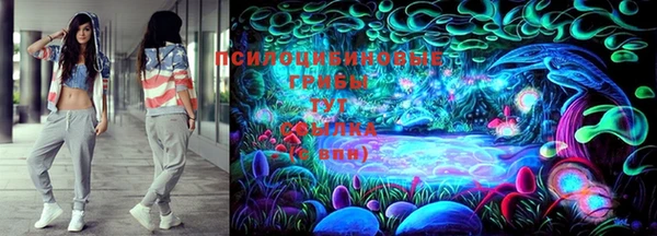 прущий лед Дмитровск
