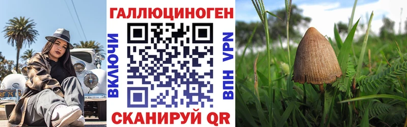 это какой сайт  Октябрьский  Галлюциногенные грибы Psilocybine cubensis  hydra ССЫЛКА 